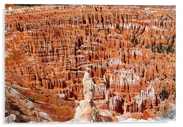 Bryce Canyon Acrylic by World Images