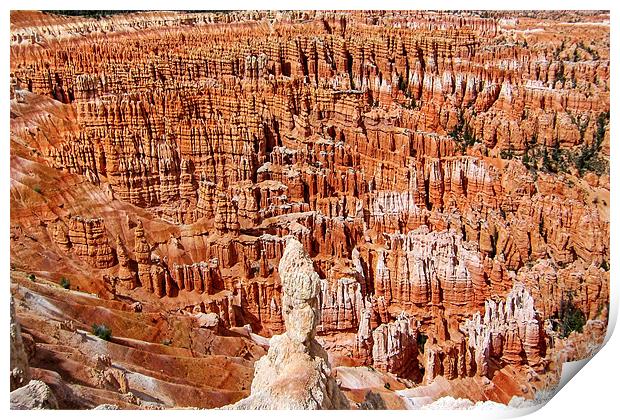Bryce Canyon Print by World Images