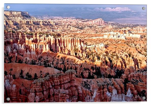 Bryce Canyon Acrylic by World Images