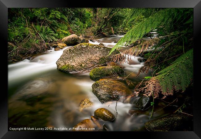 A Shaded Retreat Framed Print by Mark Lucey