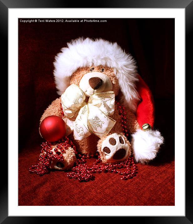 Christmas Teddy Framed Mounted Print by Terri Waters