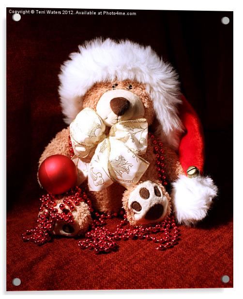 Christmas Teddy Acrylic by Terri Waters