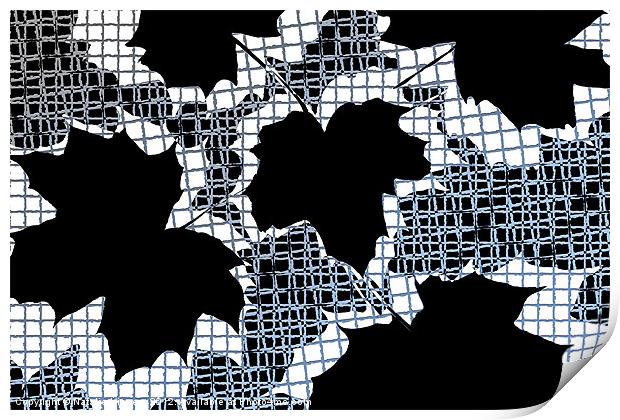 Abstract Leaf Pattern - Black White Light Blue Print by Natalie Kinnear