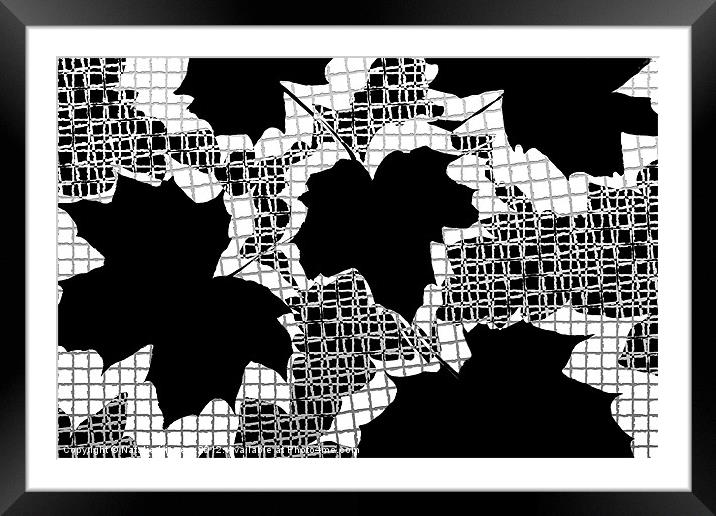 Abstract Leaf Pattern - Black White Grey Framed Mounted Print by Natalie Kinnear