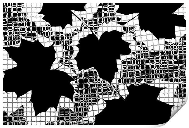 Abstract Leaf Pattern - Black White Grey Print by Natalie Kinnear