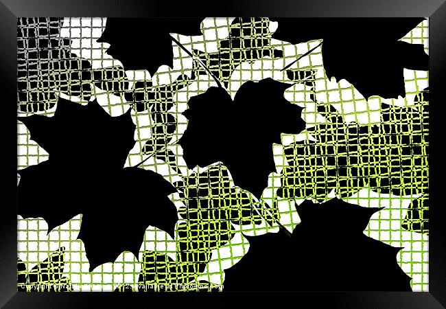 Abstract Leaf Pattern - Black White Lime Green Framed Print by Natalie Kinnear