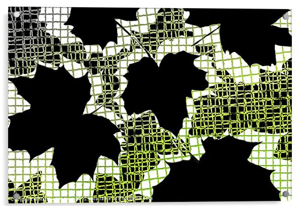 Abstract Leaf Pattern - Black White Lime Green Acrylic by Natalie Kinnear
