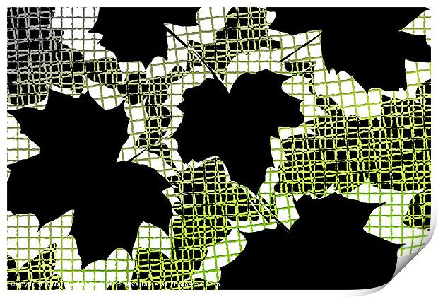 Abstract Leaf Pattern - Black White Lime Green Print by Natalie Kinnear
