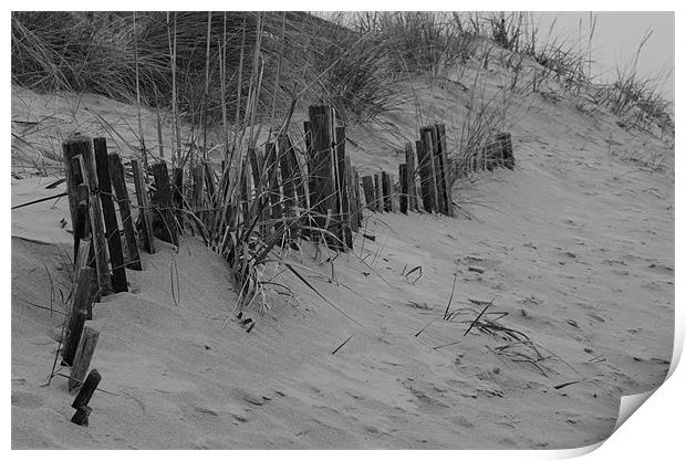 Deserted old fence Print by david tucker