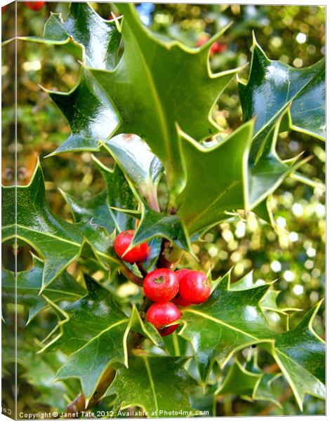 Shiny Berries Canvas Print by Janet Tate