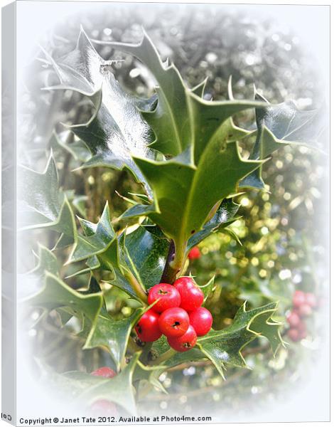 Christmas Holly Canvas Print by Janet Tate
