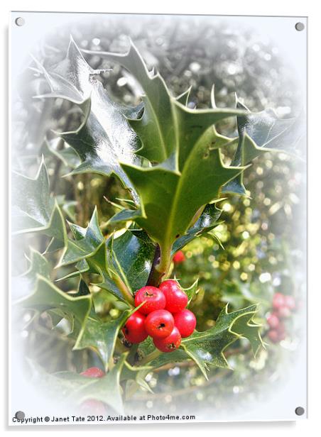 Christmas Holly Acrylic by Janet Tate