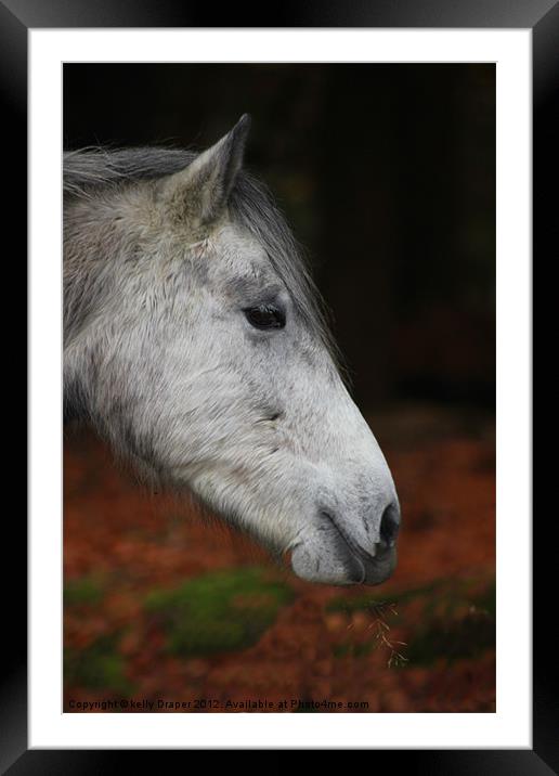 New Forest Pony Framed Mounted Print by kelly Draper