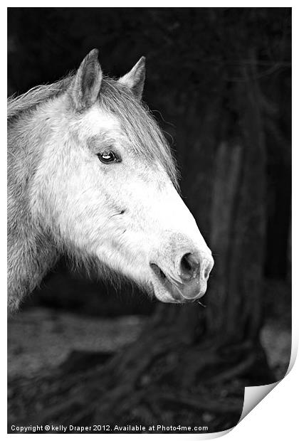 Grey Pony Print by kelly Draper