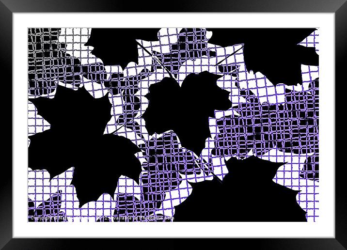 Abstract Leaf Pattern - Black White Purple Framed Mounted Print by Natalie Kinnear