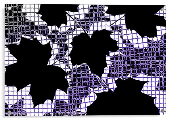 Abstract Leaf Pattern - Black White Purple Acrylic by Natalie Kinnear