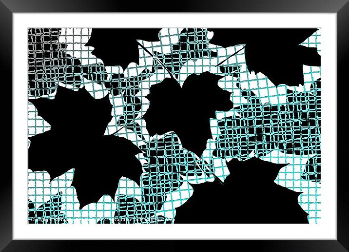 Abstract Leaf Pattern - Black White Turquoise Framed Mounted Print by Natalie Kinnear