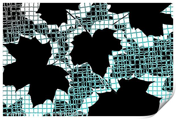 Abstract Leaf Pattern - Black White Turquoise Print by Natalie Kinnear