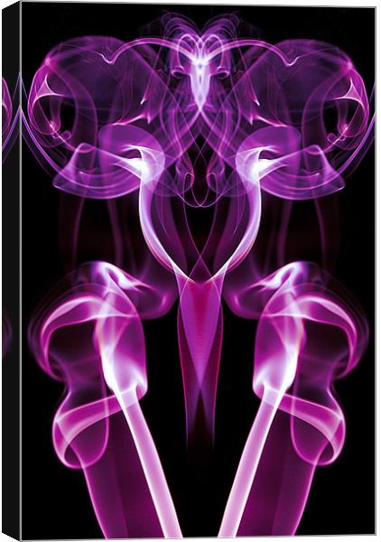 Smoke Photography #24 Canvas Print by Louise Wagstaff