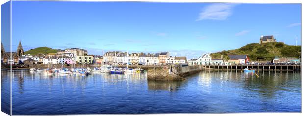 Ilfracombe Harbour Panoramic Canvas Print by Mike Gorton