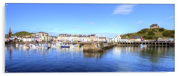 Ilfracombe Harbour Panoramic Acrylic by Mike Gorton
