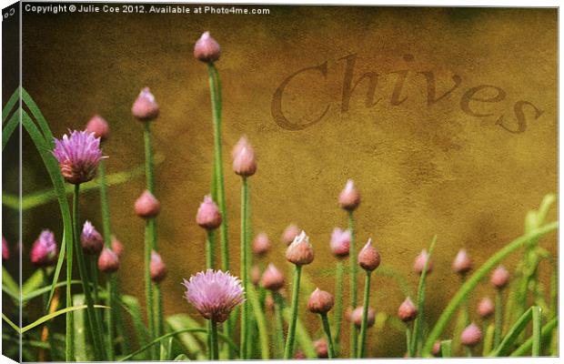 Chives Canvas Print by Julie Coe