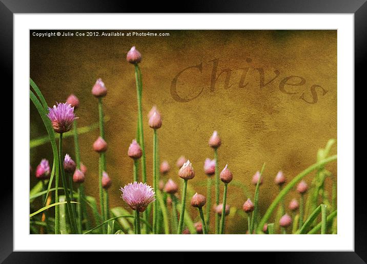 Chives Framed Mounted Print by Julie Coe