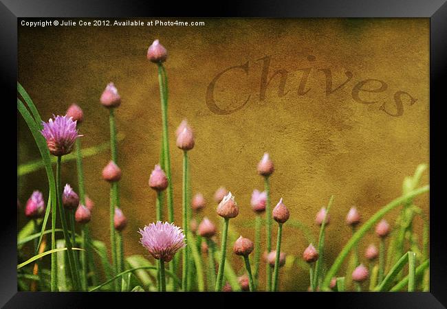 Chives Framed Print by Julie Coe