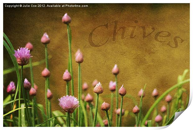 Chives Print by Julie Coe
