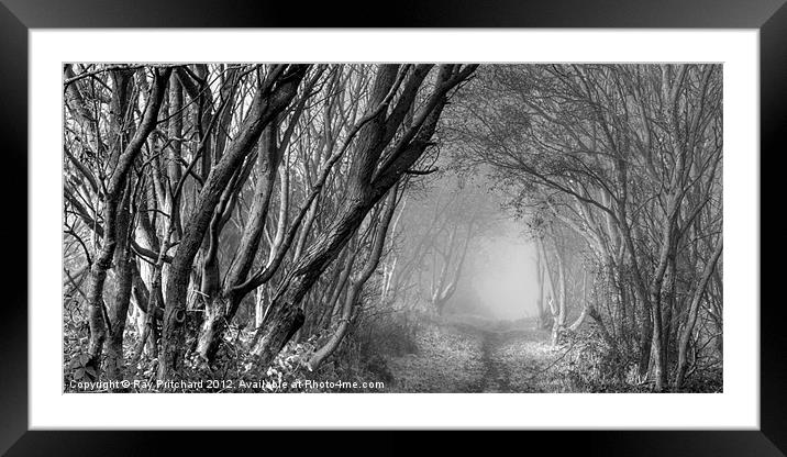 Mysterious Pathway Framed Mounted Print by Ray Pritchard