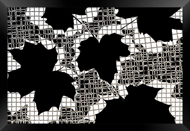 Abstract Leaf Pattern - Black White Sepia Framed Print by Natalie Kinnear
