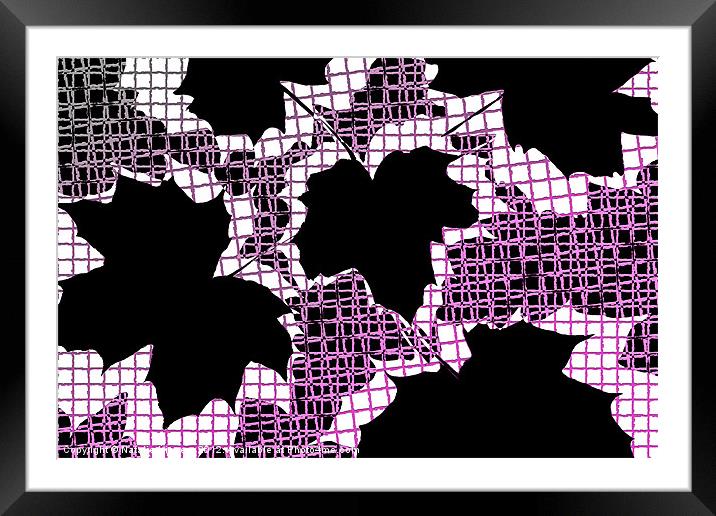 Abstract Leaf Pattern - Black White Pink Framed Mounted Print by Natalie Kinnear