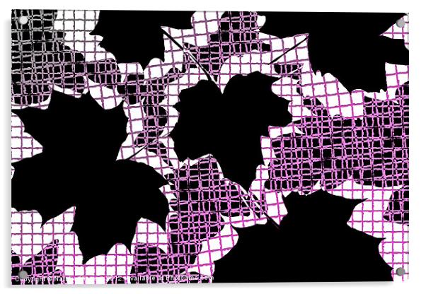 Abstract Leaf Pattern - Black White Pink Acrylic by Natalie Kinnear