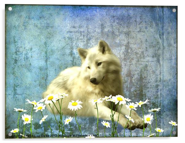 She Wolf Acrylic by Sharon Lisa Clarke