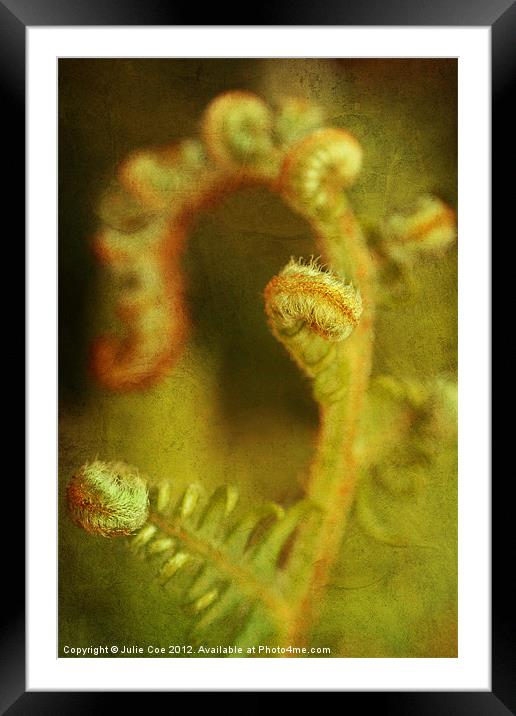 Bracken Abstract Framed Mounted Print by Julie Coe
