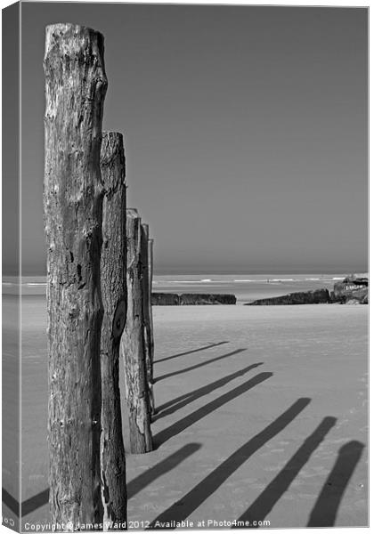 Wissant Beach Posts Canvas Print by James Ward