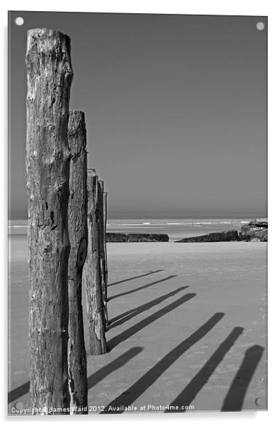 Wissant Beach Posts Acrylic by James Ward