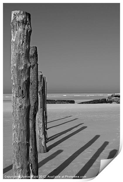 Wissant Beach Posts Print by James Ward
