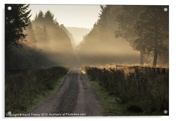 Misty Morn Acrylic by David Tinsley