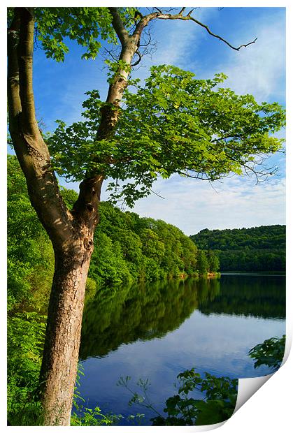 Damflask Reservoir Print by Darren Galpin