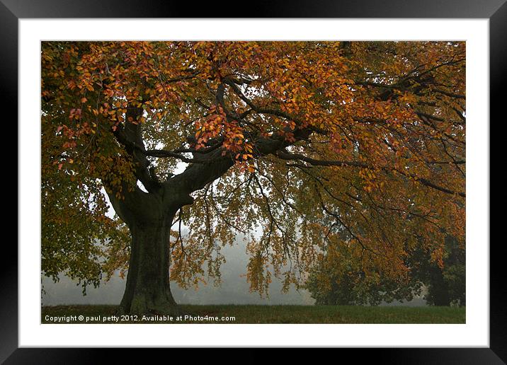 Hampstead Heath Autumn Framed Mounted Print by paul petty