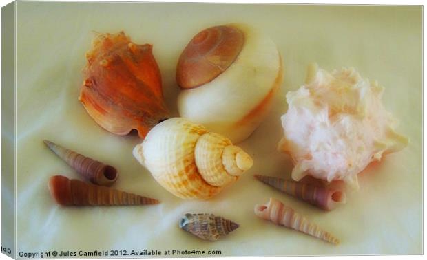 Pearlised Shells Canvas Print by Jules Camfield