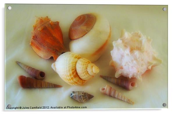 Pearlised Shells Acrylic by Jules Camfield