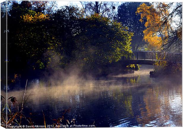 EARLY MORNING MIST Canvas Print by David Atkinson