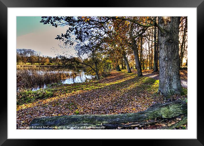 Serene Beauty of Lurgan Lake Framed Mounted Print by David McFarland