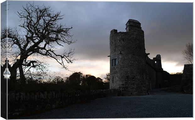 Ross Castle Canvas Print by barbara walsh
