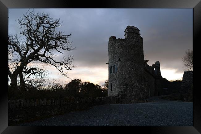 Ross Castle Framed Print by barbara walsh