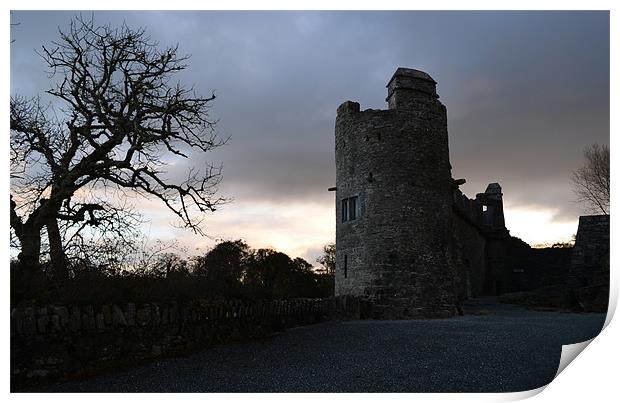 Ross Castle Print by barbara walsh