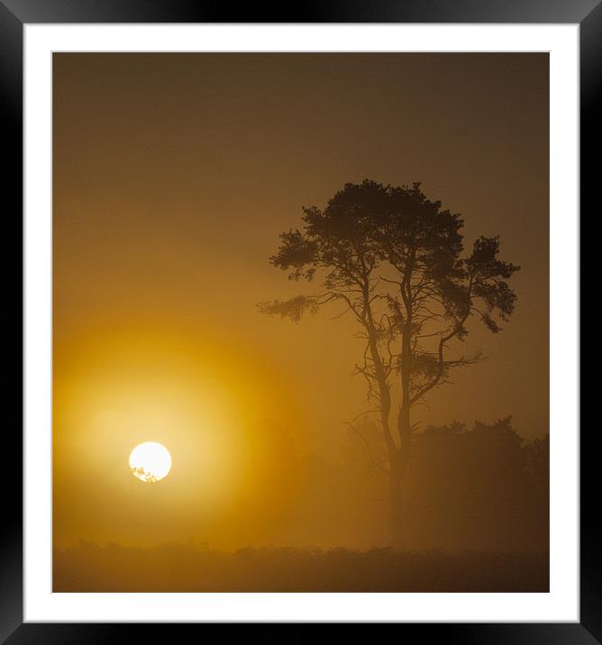 Sunrise Wisley Common Framed Mounted Print by Clive Eariss