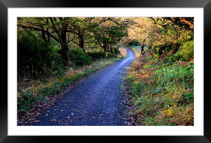 Killarney National Park Framed Mounted Print by barbara walsh